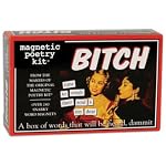 Bitch Magnetic Poetry Word Magnets