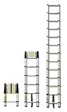 12 Foot Telescoping Extension Ladder
