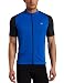 Pearl Izumi Men's Attack Jersey,True Blue,Large