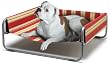 Noz2Noz Sof-Bed - 34"x34"