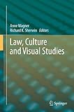 Law, culture and visual studies
