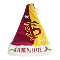 Florida St. Seminoles Santa Hat