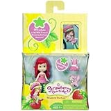 Strawberry Shortcake Hasbro Mini Doll with DVD