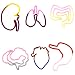 Buddy Bands - Body Organs - 24 Pack, Tie Dye Colors (Compare to Silly Bandz, Goofy Bands, Zany Bands, Stretchy Shapes, Disney Bands) Check Out All the Buddy Band Styles and Shapes!
