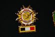 The Battle of Cepultepec Marine Pin by Bradford
