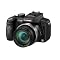 Panasonic FZ100