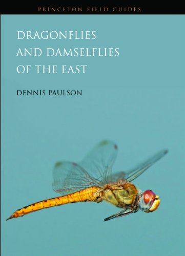 Dragonflies and Damselflies of the East (Princeton Field Guides)