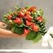 Two Dozen Long Stemmed Premium Terracota Roses