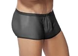 Male Power BLACK Sheer Mesh pouch Brief ONE SIZE