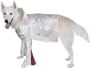 Elvis Dog Costume
