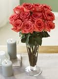 One Dozen Impulse Roses, Eco-Friendly - Veriflora Certified, Pink Rose Bouquet