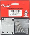 Fender Neck Plate Amer. Standard Guitar Chrome w/Screws