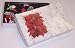 Gourmet Food : Scott's Cakes Licorice Bridge Mix 1/2 Pound Poinsettia Box