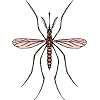 Visit This External Website