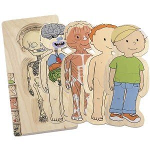 41OHzeQuWtL Beleduc Your Body   Boy 5 Layer Puzzle