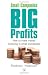 Small Companies, Big Profits: How to Make Money Investing in Small Companies