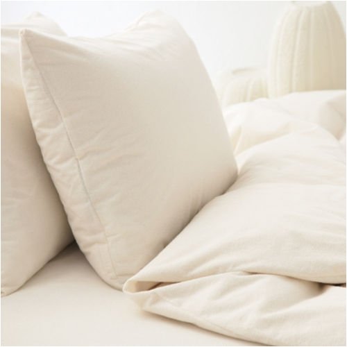 Gaiam Organic Cotton Jersey Mattress Protector (Queen)