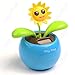 Solar Powered Dancing Sunshine Flowers, Daisies, Lady Bug, Bee, Butterfly, Bunny (Sunshine Flower Purple Pot 4 1/2