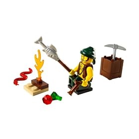LEGO�p�C���[�c���狛���Ă��o�C�L���O