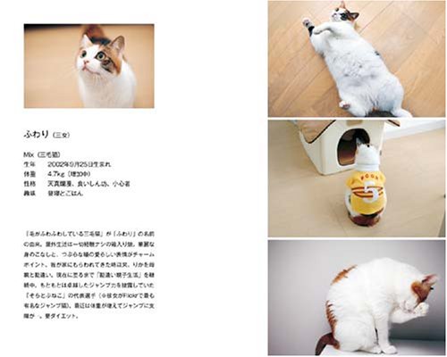 Cover image : そらとぶねこ