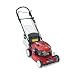 Toro 20951 48cm Steel Deck Recycler® Self-Propelled Rotary Petrol Lawnmower