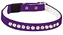 Pet Supply Imports - Purple Velveteen Jeweled Break Away Cat Collars Siz 10