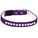 Pet Supply Imports Velveteen Jeweled Break Away Cat Collar, Purple, 10-Inch
