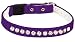 Kitchen & Housewares : Pet Supply Imports - Purple Velveteen Jeweled Break Away Cat Collars Siz 12