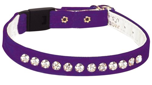 Le importazioni di animali di alimentazione - Break Velveteen Viola Jeweled Collars Fuori Cat Siz 10