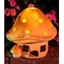 Solar Toadstool Toad Home