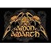 Amon Amarth ~ #204 Skulls ~ 30 x 40 Fabric Poster