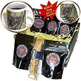 Rebecca Anne Grant Photography Nature Birds Nest - Empty Bird Nest - Coffee Gift Baskets - Coffee Gift Basket