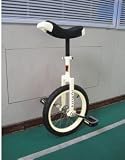 20 inches discoverer dream Taiwan knight professional competitive unicycle(white)