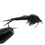 Black Stonefly Nymph Size: 12