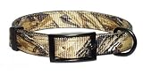 1 Adv. Wetlands Collar