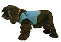 Cool Vest for Dogs, Blue, Small