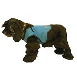Cool Vest for Dogs, Blue, Large