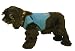   - Cool Vest® Blue Mini Dachshund
