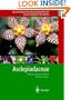 Illustrated Handbook of Succulent Plants: Asclepiadaceae