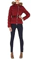 Signature Padded Jacket