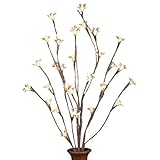 Return to product information