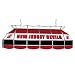 NHL New Jersey Devils Stained Glass 40 inch Lighting Fixture