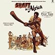 Shaft in Africa