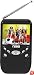 Naxa NT-301 3.5-Inch Digital LCD Television with FM Radio and SD/MMC Card Slot