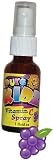 Pure Kidz Vitamin C Spray 1 oz - Pure Kidz