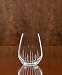 Lenox California Valley Lively Red Wine Tumbler
