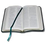 Bible In A Flash