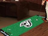 Exclusive By FANMATS MLB - Toronto Blue Jays Golf Putting Green Mat