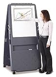 Iceberg 30127 IceBluerg Portable Presentation Flipchart Easel, 35 x
30, Gray