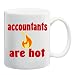 ACCOUNTANTS ARE HOT Mug Coffee Cup 11 oz